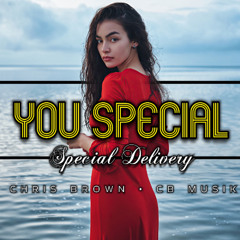Chris Brown - You Special [Special Delivery] (Afro R&B Fusion Remix) | CB Musik