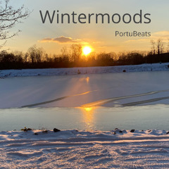 Wintermoods