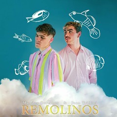 Remolinos