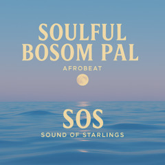Soulful Bosom Pal(1)  #(RnB x Afrobeat x Dancehall Fusion
