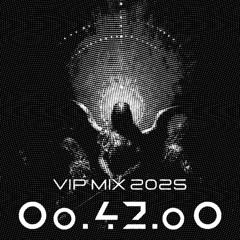 VIP MIX 2025 (TECHNO)