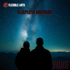 01 - SLEEPLES BROTHERS  - Climb Forever
