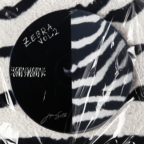 Jaymie Silk - Zebra / Zebra Vol.2
