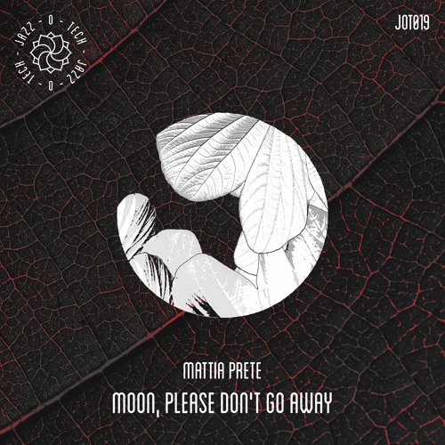 Mattia Prete & Alberto Fiori - Moon, Please Don't Go Away