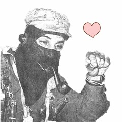 Pocket Sized Anarchist