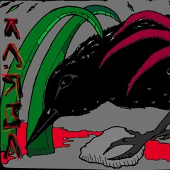 Preparativos de combate