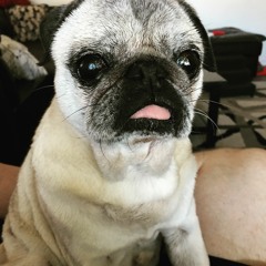 Love Letter Memory Demo Master 3