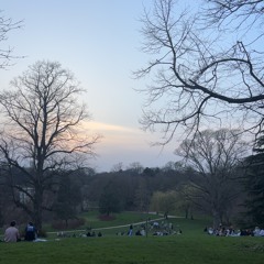 soccer practice (cover)