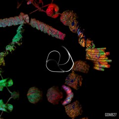 [GOMB27] La Rave VA w/ Chané, Euyinn, Marcos Fagoaga...