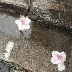 my </3 beats only 4u  @koukai