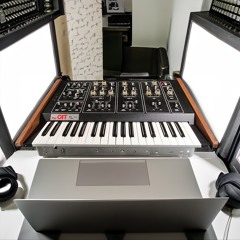 Octave Cat Bass Loop