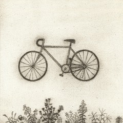 RM - Bicycle