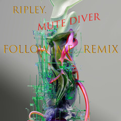 Follow Me (Mute Diver Remix)