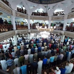 دكتور صلاح ابو الدهب