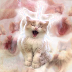 🤯 TRAUMA CRANICO LIEVE (prod. sick.kidd)