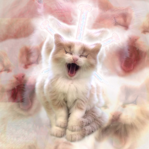 🤯 TRAUMA CRANICO LIEVE (prod. sick.kidd)