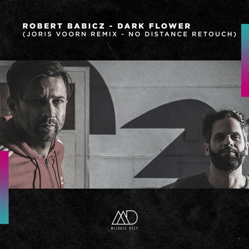 Robert Babicz - Dark Flower (Joris Voorn Remix - No Distance ReTouch) [Melodic Deep]