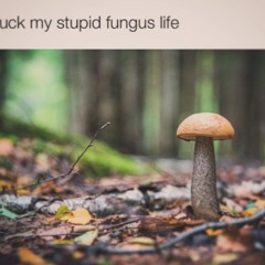 Stinchy (draft)