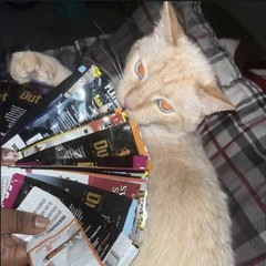 jumping while i’m high & haunted