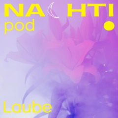Nachtipod Laube 18.11.25