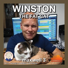 Winston the Fat Cat