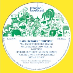 Harald Björk – Walking Path Skudge Remix – KLN016 B2