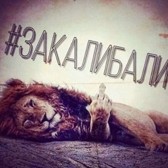 free throw *vvvivinicio*