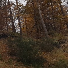 05.11.24 Good BYe_5_edit