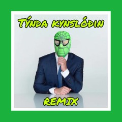 Týnda Kynslóðin - Bjartmar Guðlaugs (Helgi Rafael REMIX)