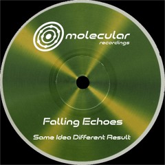 AN PREMIERE 139 | Falling Echoes - Hypnotize Everything [Molecular]