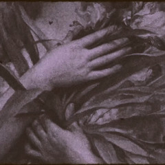 الكثير من الأزهار للكثير من الحزانى