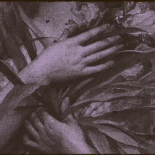 الكثير من الأزهار للكثير من الحزانى