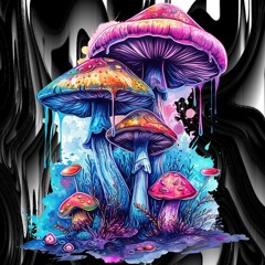 MUSHROOMS RMX 2024 (PREVIA)