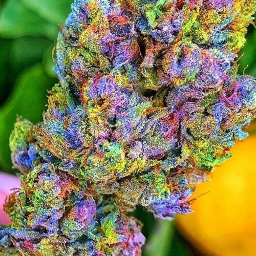 Stream Yung Oni - Rainbow Kush by Yung Oni | Listen online for free on  SoundCloud