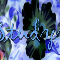 solo mag clips #2025