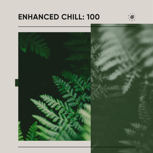 Enhanced Chill - Enhanced Chill: 100 (Continuous Mix)