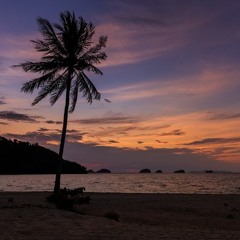 Ambient Sounds. Evening On The Thai Beach