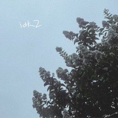 idk2 mix