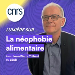 Lumière sur... La néophobie alimentaire