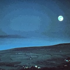Dharma Dream