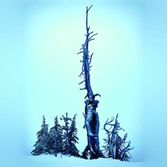 Kurgan - Flooded Veins