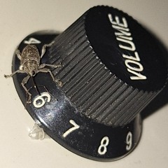 Baboon (The Mountain Goats Cover)