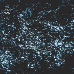 DW - Senses [APNEADW001]
