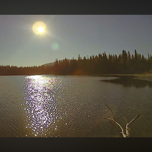 whatever title you feel like putting .prod by jacob aranda