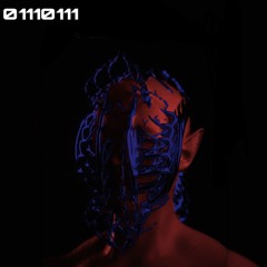 binary_error.0111