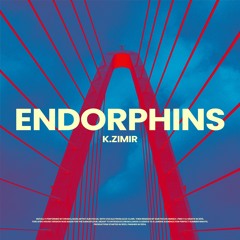ENDORPHINS (K.ZIMIR AFRO HOUSE REMIX) [FREE DL]