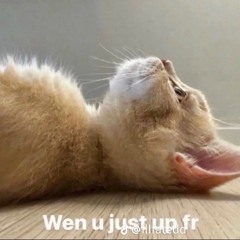 Jb tryna find this🎼