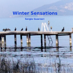 Winter Sensations