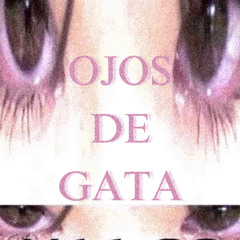 OJOS DE GATA - Zeyzy, Ninety & Kashiboi.mp3