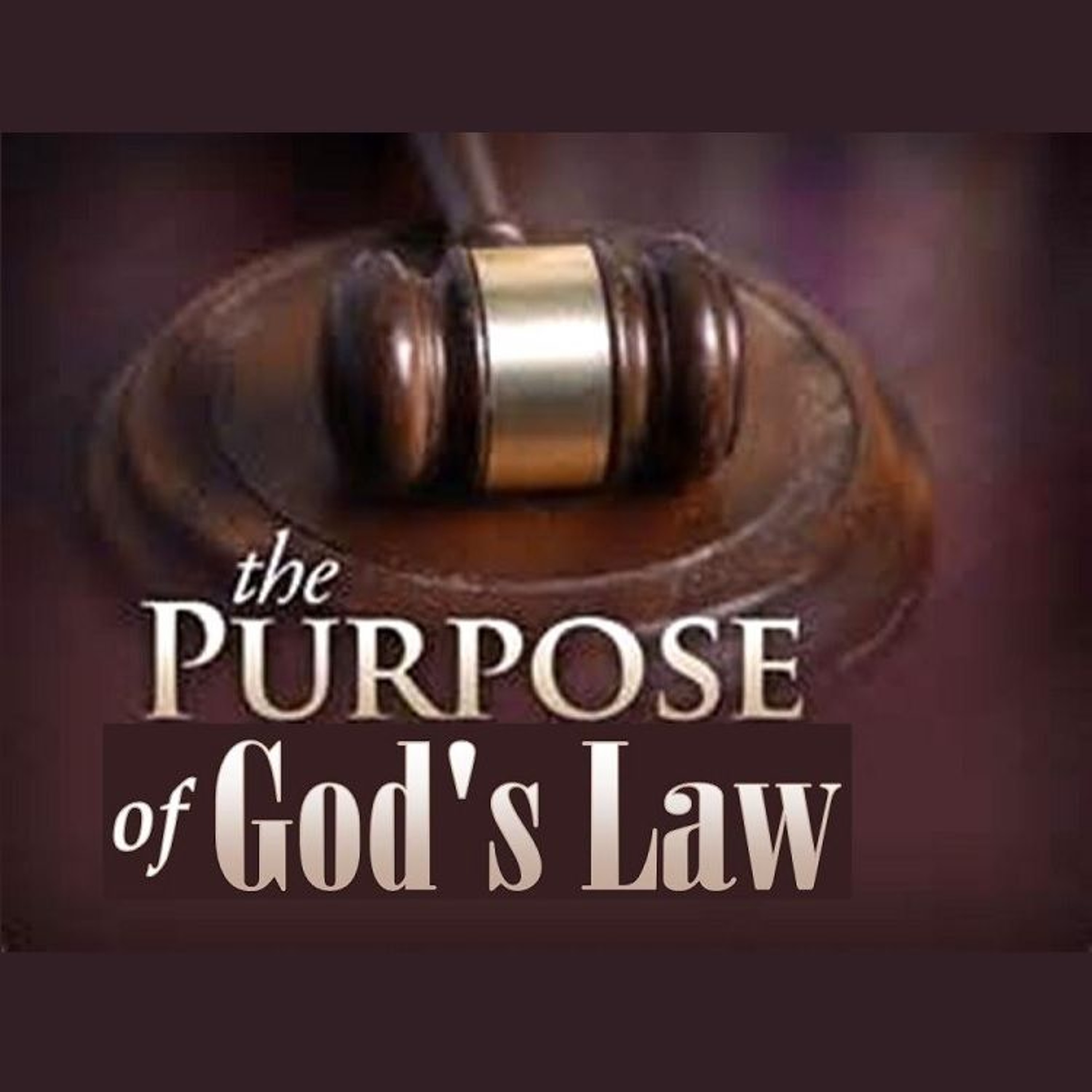 Fr. Darrick Leier Homily Podcast